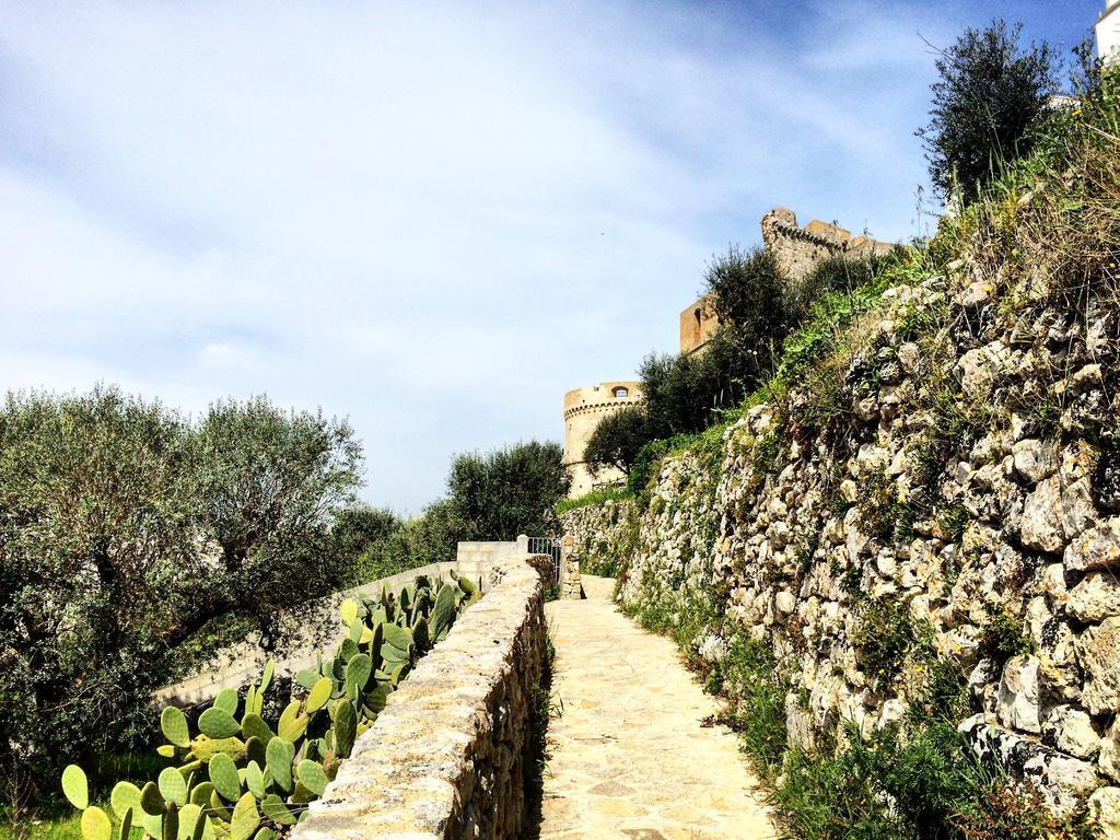 Bed and breakfast La Rosa Antica 3*